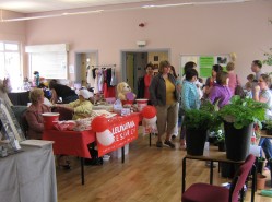 Some of the Stalls